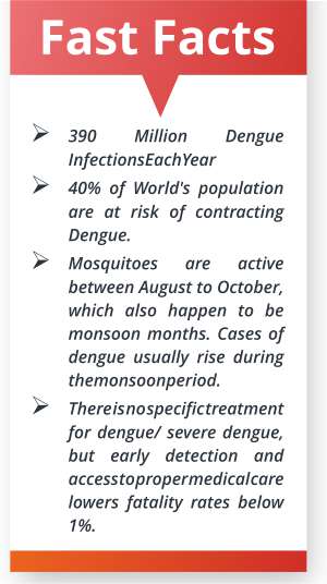 Dengue Fast Facts