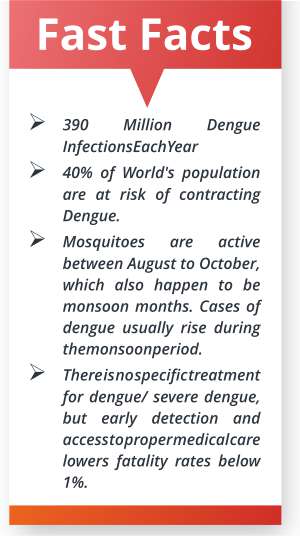 Dengue Fast Facts